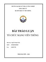 BÀI THẢO LUẬN tổ CHỨC MANG VIÊN THÔNG 