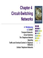CircuitSwitching Networks