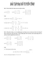 bai tạp dai so tuyen tinh nang cao