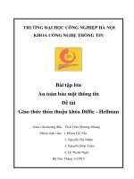 Đề tài giao thức thỏa thuận khóa diffie   hellman 