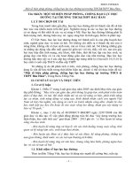 skkn một số biện pháp phòng, chống bạo lực học đường tại trường THCS-THPT