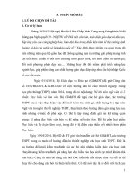 SKKN hướng dẫn học sinh  ôn luyện phần đọc – hiểu môn ngữ văn trong kì thi THPT quốc gia đạt kết quả cao  