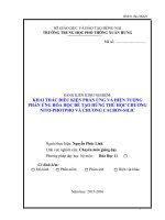 skkn hóa học 11 KHAI THÁC điều KIỆN PHẢN ỨNG và HIỆN TƯỢNG PHẢN ỨNG hóa học để tạo HỨNG THÚ học CHƯƠNG NITƠ PHOTPHO và CHƯƠNG CACBON SILIC