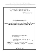 SKKN PHƯƠNG PHÁP GIẢI NHANH bài TOÁN hóa học PHƯƠNG PHÁP bảo TOÀN điện TÍCH 