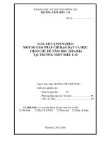 skkn một số GIẢI PHÁP CHỈ đạo dạy và học THEO CHỦ đề năm học 2015 2016 tại TRƯỜNG THPT 