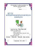 skkn vận DỤNG hàm số vào VIỆC GIẢI PHƯƠNG TRÌNH, bất PHƯƠNG TRÌNH và hệ PHƯƠNG TRÌNH 