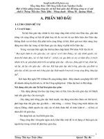 SKKN một số biện pháp trong công tác xã hội hóa nhằm tăng cường cơ sở vật chất ở trường tiểu học 