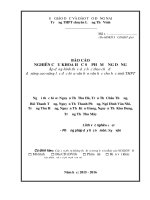 skkn áp dụng hình thức dạy học theo chủ đề để nâng cao năng lực đọc hiểu văn bản văn học cho học sinh THPT 