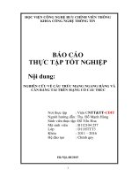 Báo cáo thực tập tốt nghiệp nghiên cứu về cấu trúc mạng ngang hàng và cân bằng tải trên mạng có cấu trúc 