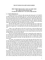 skkn “phát triển phẩm chất, năng lực học sinh qua một số chủ đề dạy học ở chương trình ngữ văn lớp 12 hiện hành 