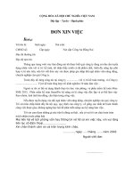 DON XIN VIEC TIENG VIET