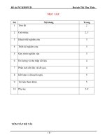 skkn việc sử dụng nhóm đội trong dạy học toán lớp 5 