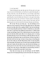 SKKN quản lý hoạt động dạy học hai buổingày ở trường tiểu học TPHY 