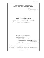 skkn một số vấn đề về đa THỨC một BIẾN 