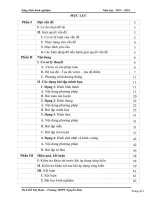 SKKN phân tích các tính chất hình học để giải các bài toán về tứ giác đặc biệt trong hệ oxy  