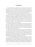 Luận văn giải pháp nhằm đẩy mạnh công tác xuất khẩu gốm xây dựng của công ty CP XNK viglacera 