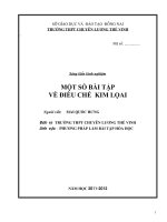 sáng kiến kinh nghiệm   một số  bài tập về  điều CHẾ KIM LỌAI 