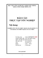 Báo cáo thực tập tốt nghiệp nghiên cứu về cấu trúc mạng ngang hàng và cân bằng tải trên mạng có cấu trúc 