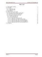 Bài tiểu luận tối ưu hóa kết cấu 