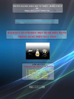 Báo cáo tìm hiểu một số hệ điều hành thông dụng trên máy tính   đh đh KHTN TP HCM 