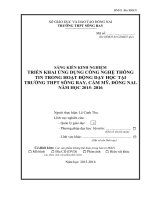 skkn TRIỂN KHAI ỨNG DỤNG CÔNG NGHỆ THÔNG TIN TRONG HOẠT ĐỘNG dạy học tại TRƯỜNG THPT SÔNG RAY, cẩm mỹ, ĐỒNG NAI 