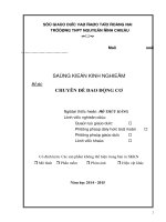 SKKN CHUYÊN đề DAO ĐỘNG cơ 