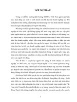 Luận văn đảm bảo quyền lợi người tiêu dùng đối với sản phẩm trong ngành sữa VN 