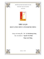 Tiểu luận dịch vụ phần mềm và tích hợp hệ thống 