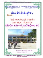 SKKN dùng các kỹ thuật dạy học tích cực để ôn tập và mở rộng từ  