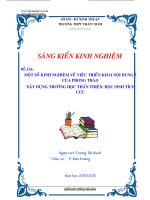 SKKN một số kinh nghiệm về việc triển khai nội dung 5 của phong trào “xây dựng trường học thân thiện, học sinh tích cực” 