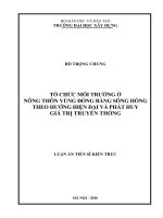 Tổ chức môi trường ở nông thôn vùng đồng bằng sông Hồng theo hướng hiện đại và phát huy giá trị truyền thống
