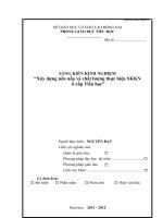 SKKN xây dựng nền nếp và chất lượng thực hiện SKKN ở cấp tiểu học 