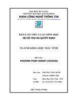 Báo cáo tiểu luận môn học Hệ hỗ trợ ra quyết định Phương pháp Smart Choices