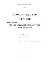 Tiểu luận phân tích HOẠT ĐỘNG sản XUẤT KINH DOANH của CÔNG TY cổ PHẦN THUỐC lá và THỰC PHẨM bắc GIANG