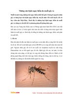 Những căn bệnh nguy hiểm do muỗi gây ra