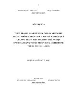 Thực trạng, hành vi nguy cơ lây nhiễm HIV trong nhóm nghiện chích ma túy và hiệu quả chương trình điều trị thay thế nghiện các chất dạng thuốc phiện bằng Methadone tại Hà Nội (20122013)