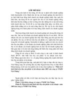 Luận văn phân tích tình hình tiêu thụ sản phẩm và lợi nhuận của công ty TNHH việt thắng 