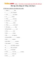 Bài tập chia động từ Tiếng Anh lớp 6