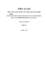 TIỂU LUẬN hệ THỐNG HOẠCH ĐỊNH NGUỒN lực DOANH NGHIỆP
