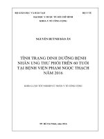 Tình trạng dinh dưỡng bệnh nhân ung thư phổi trên 60 tuổi tại bệnh viện phạm ngọc thạch năm 2016