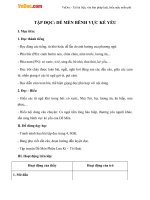 Giáo án Tiếng việt 4 bài Dế Mèn bênh vực kẻ yếu