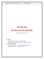 Tiểu luận quan hệ công chúng (PR) lập kế HOẠCH PR CHO CÔNG TY VÀNG bạc PHÚ QUÝ