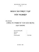 Tiểu luận phân tích  HOẠT ĐỘNG SẢN XUẤT KINH DOANH CỦA CÔNG TY TNHH tư vấn xây DỰNG lục GIANG