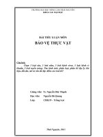 BÀI TIỂU LUẬN MÔN BẢO VỆ THỰC VẬT