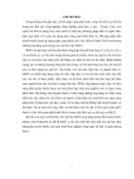 Cấu trúc vật liệu MOFs ứng dụng trong dẫn truyền thuốc kháng viêm ibuprofen