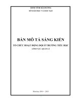 skkn  tổ chức hoạt động đội ở trường tiểu học