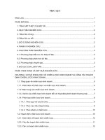 Hoạch định chiến lược kinh doanh tại công ty TNHH việt âu giai đoạn 2016 2020