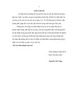 Báo cáo thực tập chuyên ngành chính trị học