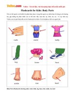 Flashcards for Kids: Body Parts