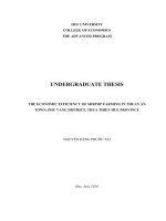 THE ECONOMIC EFFICIENCY OF SHRIMP FARMING IN THUAN AN TOWN, PHU VANG DISTRICT, THUA THIEN HUE PROVINCE